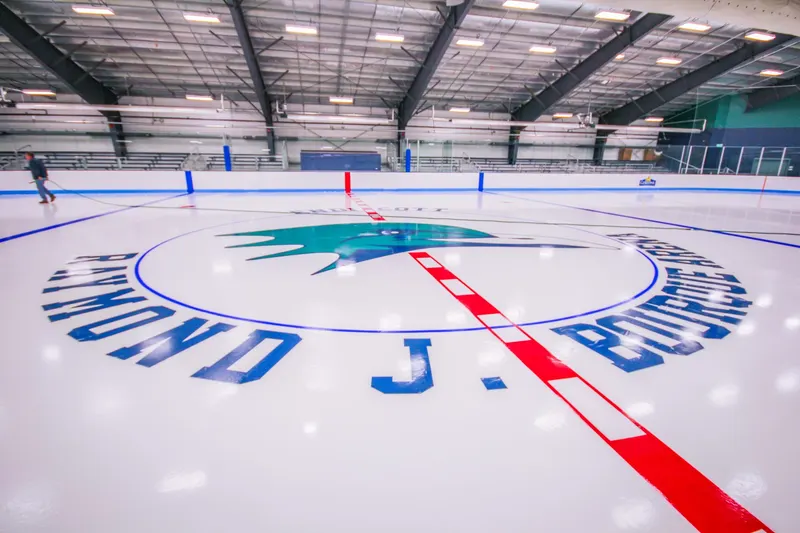 Center ice logo and center line on a new arena sheet